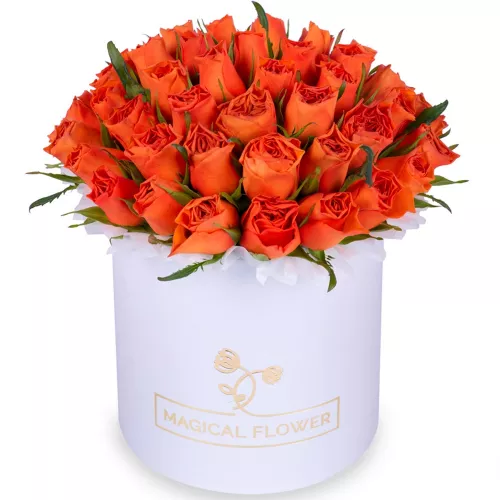 51 оранжевая роза в белой шляпной коробке
