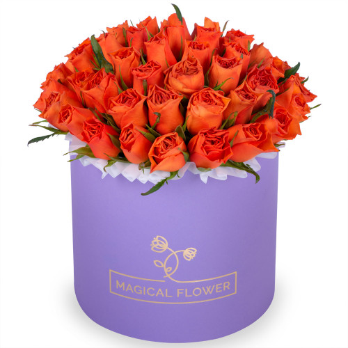 51 оранжевая роза в фиолетовой шляпной коробке