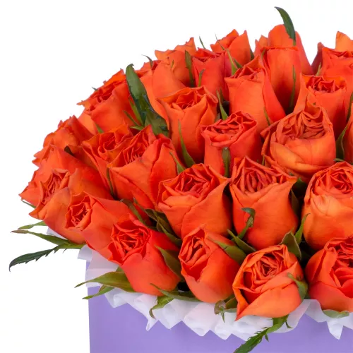 Яркий букет цветов 51 оранжевая роза в фиолетовой шляпной коробке