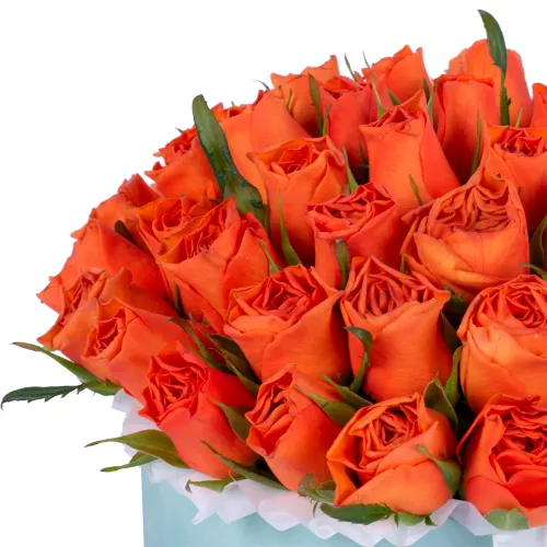 51 оранжевая роза в бархатной шляпной коробке на выписку из роддома