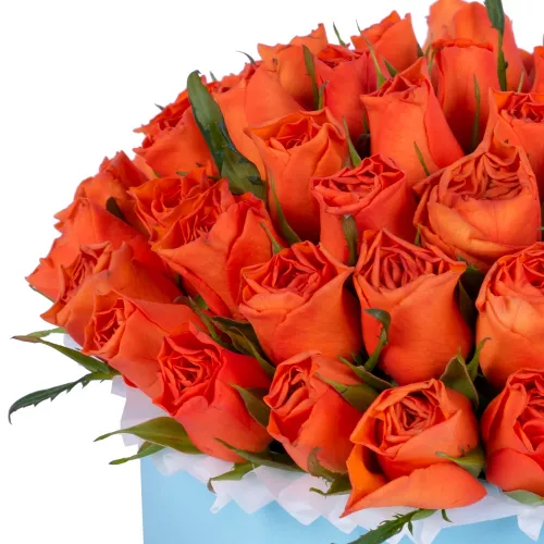 51 оранжевая роза в голубой шляпной коробке