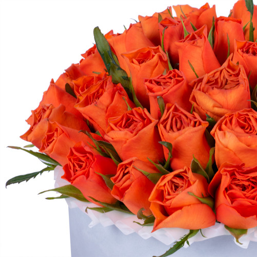 51 оранжевая роза в серой бархатной шляпной коробке