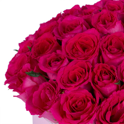 51 малиновая роза в розовой шляпной коробке