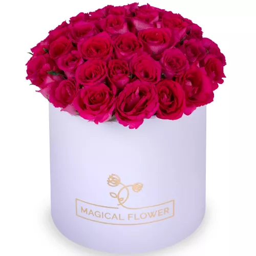 51 малиновая роза в белой шляпной коробке