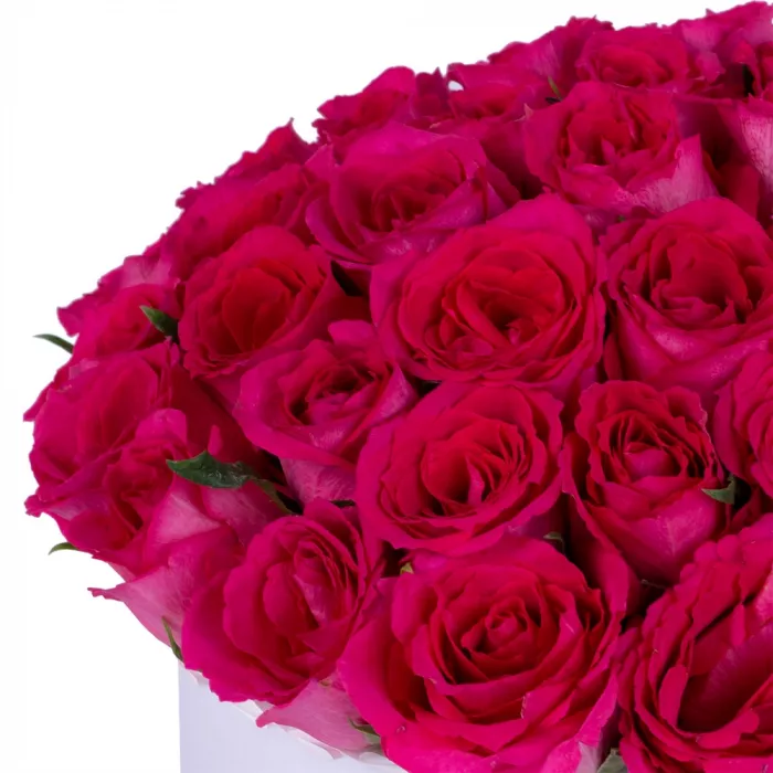 51 малиновая роза в белой шляпной коробке