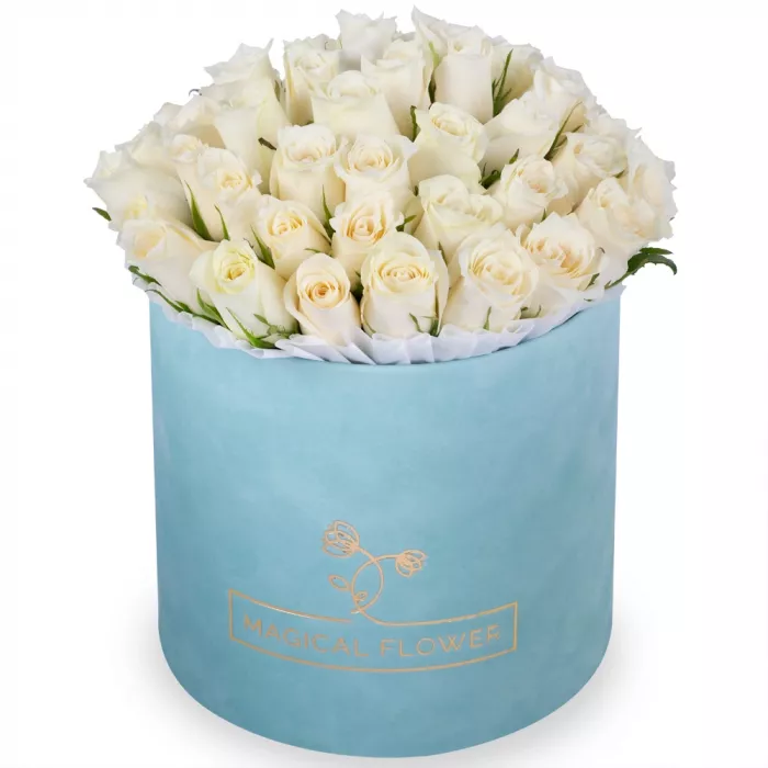 51 белая роза в бархатной шляпной коробке