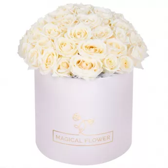 Букет из 51 белой розы premium в кремовой шляпной коробке