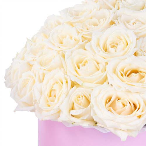 Букет из 51 белой розы premium в розовой шляпной коробке