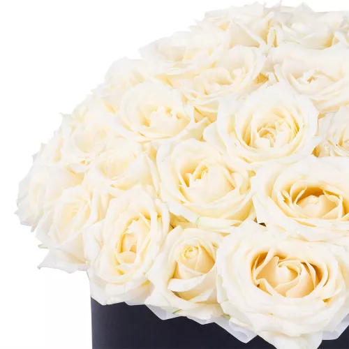 Букет из 51 белой розы premium в черной шляпной коробке
