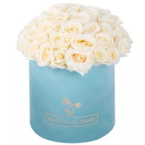 Букет из 51 белой розы premium в бархатной шляпной коробке