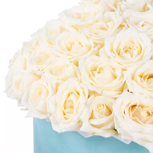 Букет из 51 белой розы premium в бархатной шляпной коробке