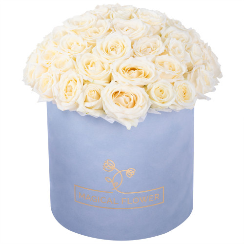 Букет из 51 белой розы premium в серой бархатной шляпной коробке