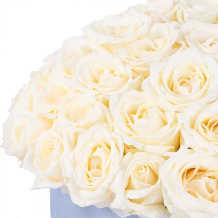 Букет из 51 белой розы premium в серой бархатной шляпной коробке