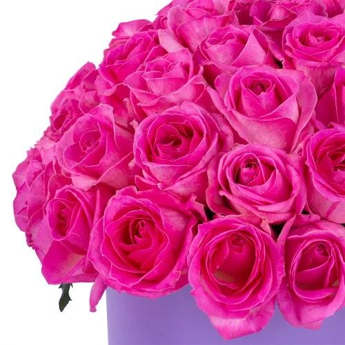 Букет из 51 малиновой розы premium в фиолетовой шляпной коробке