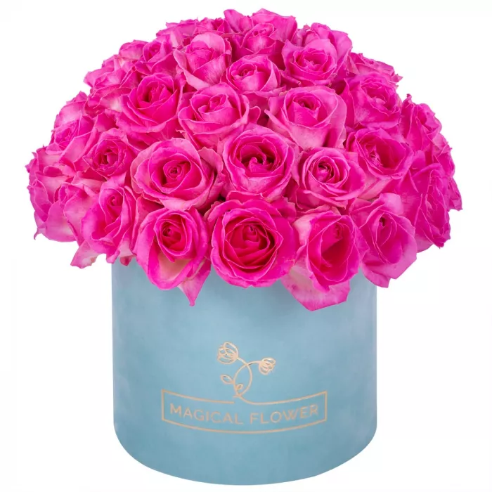 Букет из 51 малиновой розы premium в бархатной шляпной коробке