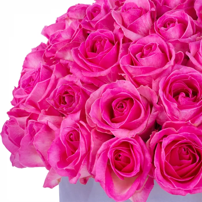 Букет из 51 малиновой розы premium в серой бархатной шляпной коробке