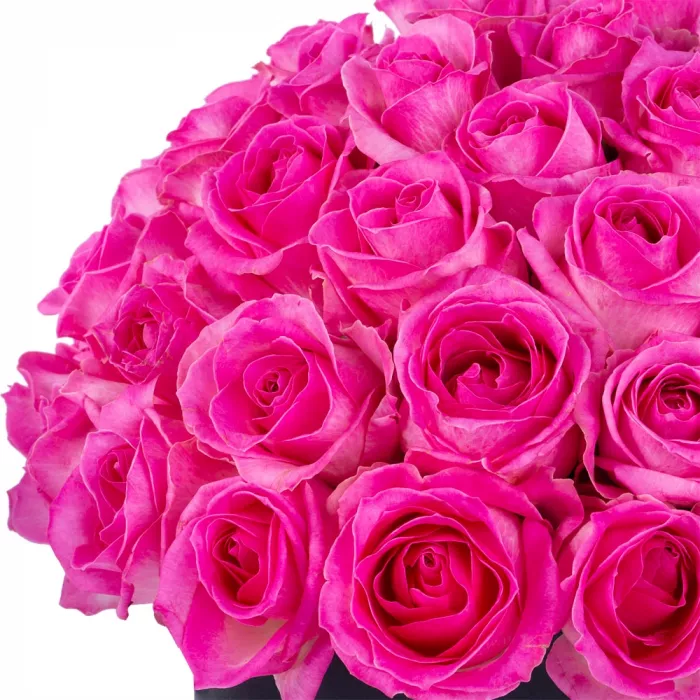 Букет из 51 малиновой розы premium в черной шляпной коробке