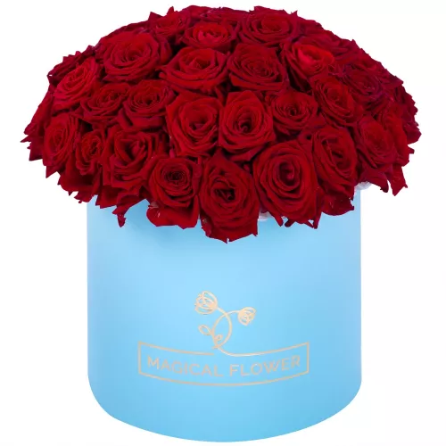 Букет из 51 красной розы premium в голубой шляпной коробке Букет из 51 красной розы premium в голубой шляпной коробке