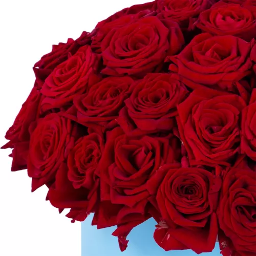 Букет из 51 красной розы premium в голубой шляпной коробке