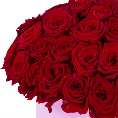 Букет из 51 красной розы premium в розовой шляпной коробке