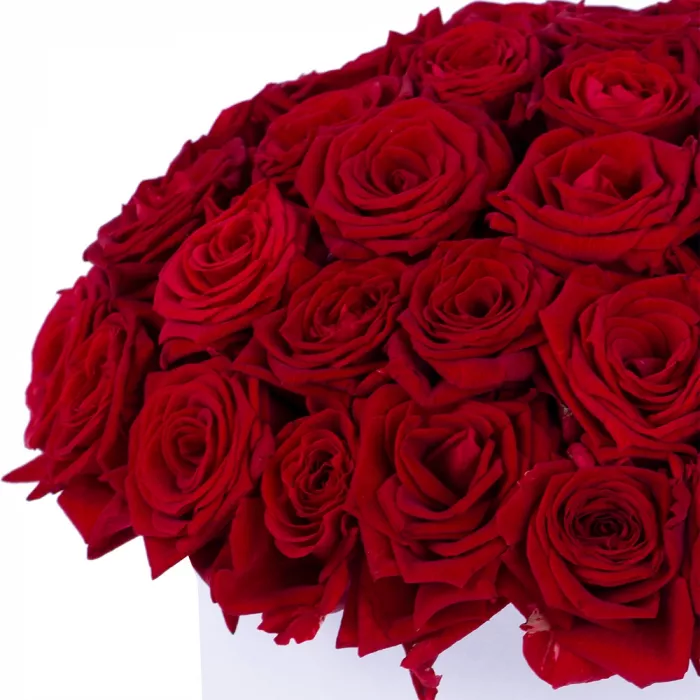 Букет из 51 красной розы premium в белой шляпной коробке