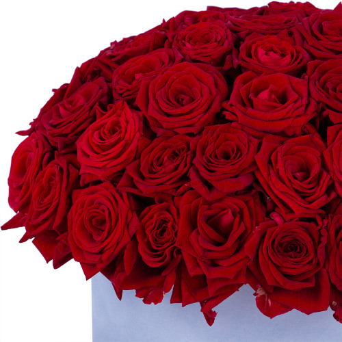 Букет из 51 красной розы premium в серой бархатной шляпной коробке