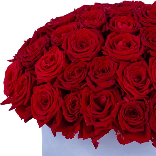 Букет из 51 красной розы premium в серой бархатной шляпной коробке