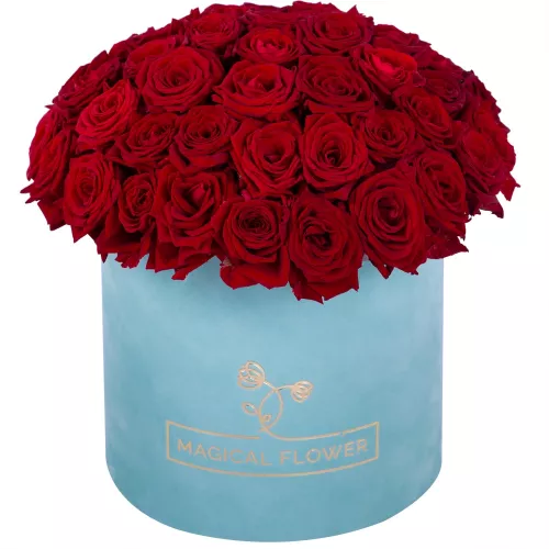 Букет из 51 красной розы premium в бархатной шляпной коробке