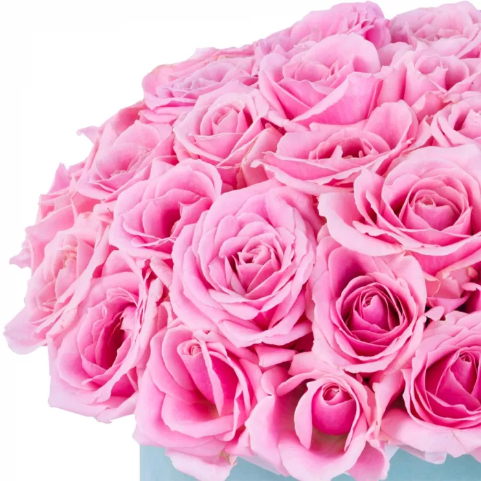 Букет из 51 розовой розы premium в бархатной шляпной коробке