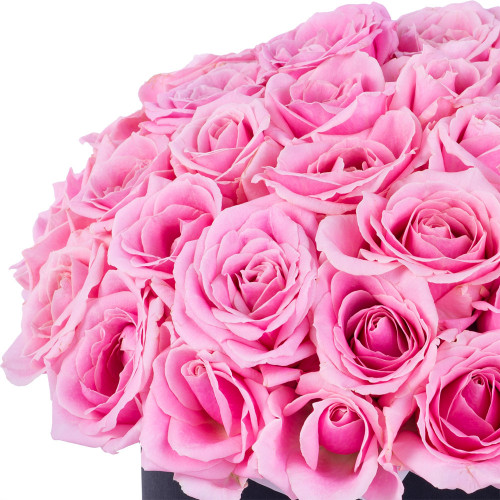 Букет из 51 розовой розы premium в черной шляпной коробке