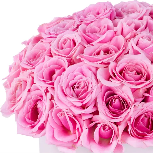 Букет из 51 розовой розы premium в кремовой шляпной коробке
