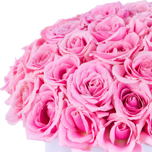 Букет из 51 розовой розы premium в белой шляпной коробке