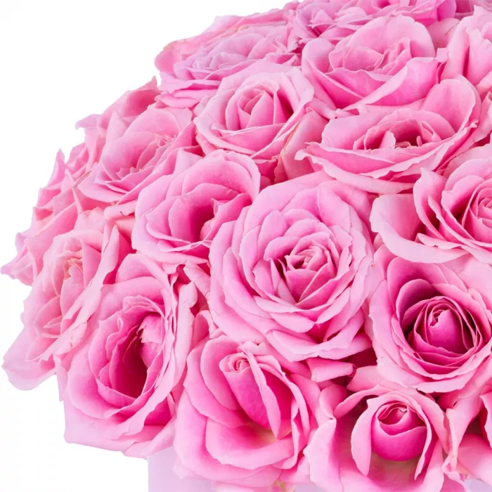 Букет из 51 розовой розы premium в розовой шляпной коробке Букет из 51 розовой розы premium в розовой шляпной коробке