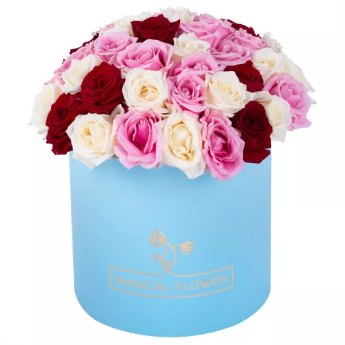 Букет из 51 разноцветной розы premium в голубой шляпной коробке