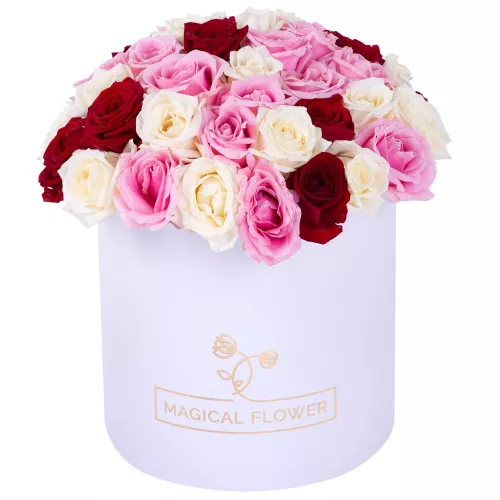 Букет из 51 разноцветной розы premium в белой шляпной коробке