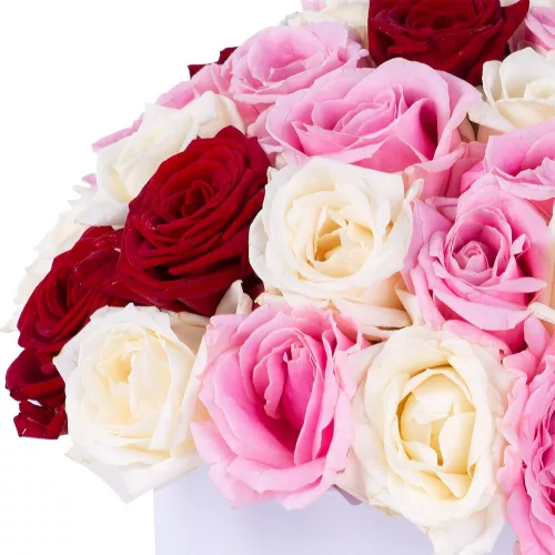 Букет из 51 разноцветной розы premium в белой шляпной коробке