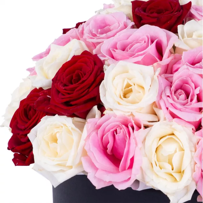 Букет из 51 разноцветной розы premium в черной шляпной коробке