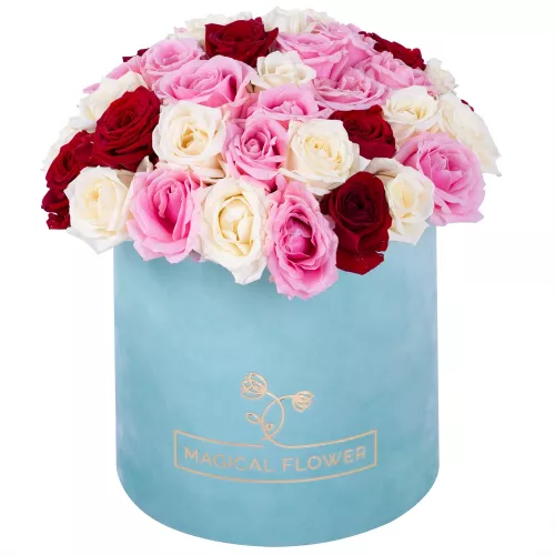 Букет из 51 разноцветной розы premium в бархатной шляпной коробке