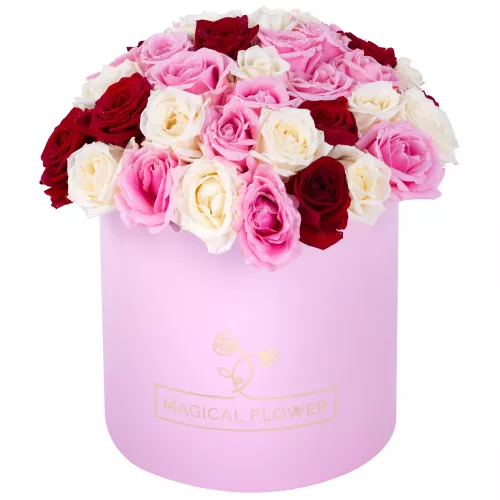 Букет из 51 разноцветной розы premium в розовой шляпной коробке