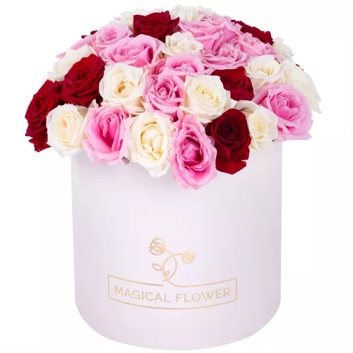 Букет из 51 разноцветной розы premium в кремовой шляпной коробке