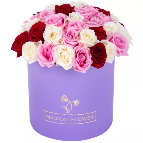 Букет из 51 разноцветной розы premium в фиолетовой шляпной коробке Букет из 51 разноцветной розы premium в фиолетовой шляпной коробке