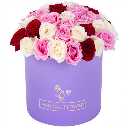 Букет из 51 разноцветной розы premium в фиолетовой шляпной коробке