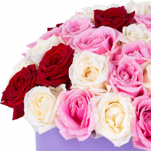 Букет из 51 разноцветной розы premium в фиолетовой шляпной коробке