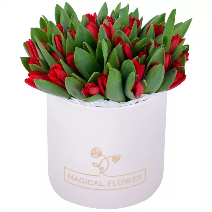 51 красный тюльпан в кремовой шляпной коробке