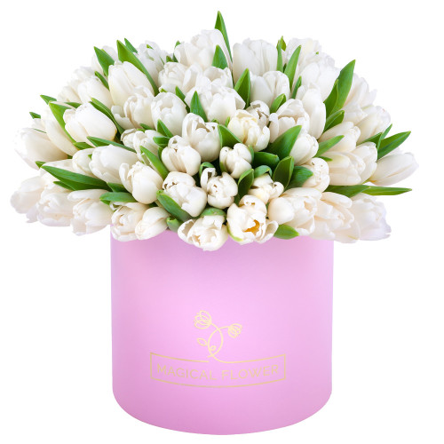 51 белый тюльпан в розовой шляпной коробке
