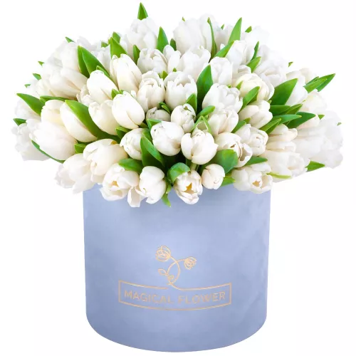 51 белый тюльпан в серой бархатной шляпной коробке