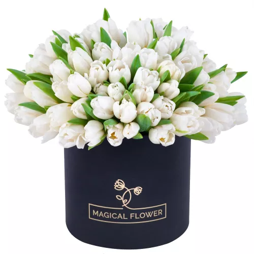 101 белый тюльпан в черной шляпной коробке