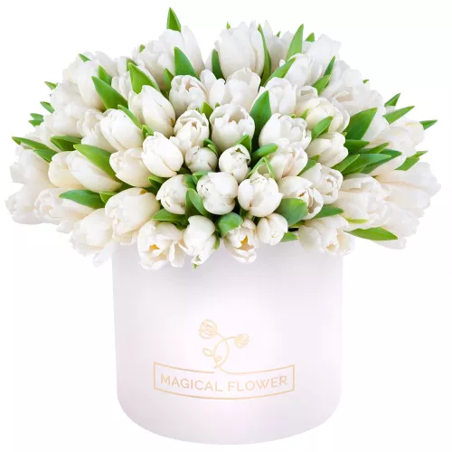 101 белый тюльпан в кремовой шляпной коробке