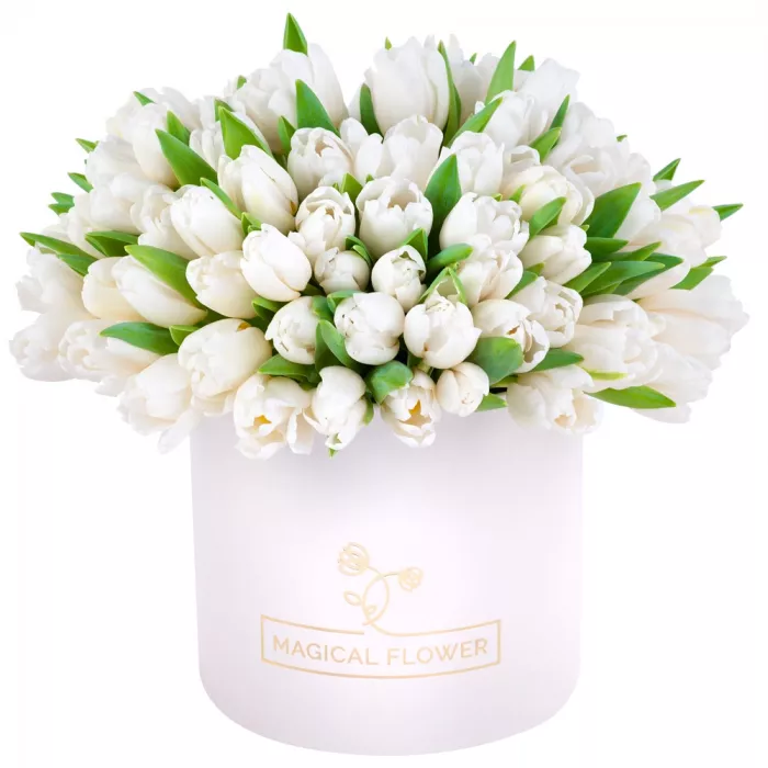 101 белый тюльпан в кремовой шляпной коробке 101 белый тюльпан в кремовой шляпной коробке