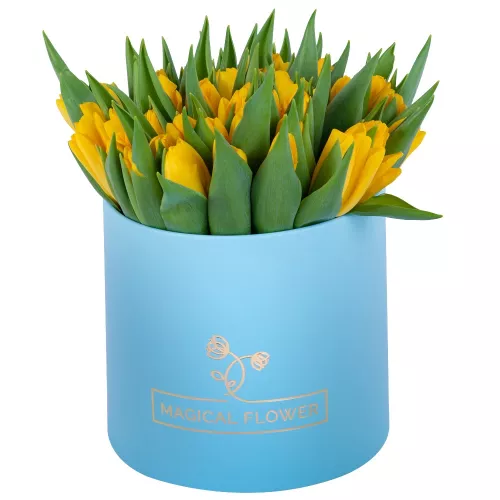 51 желтый тюльпан в голубой шляпной коробке